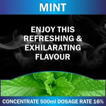 CONCENTRATE 500ML MINT
