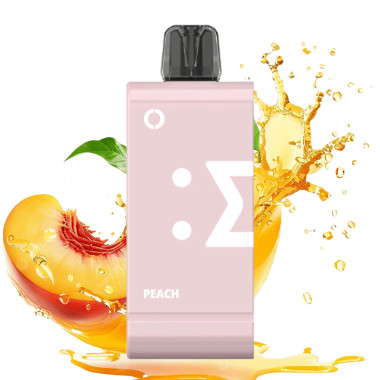 Elfbar EW18000 5% POD (DEVICE NOT INCLUDED) – Peach
